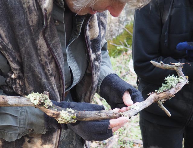 Cait with lichens