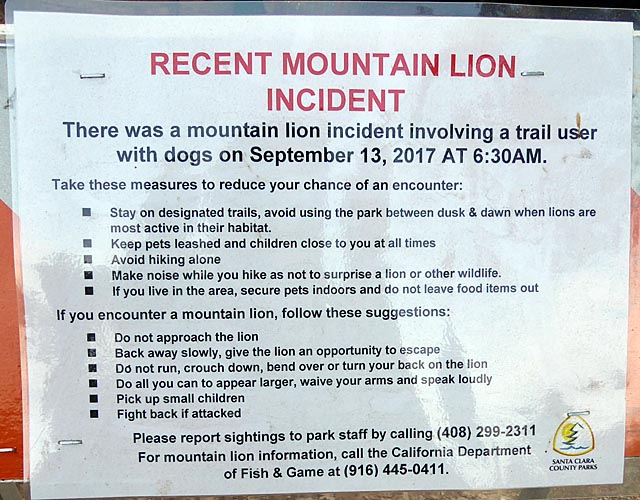 Mountain Lion sign at McAbee entrance
