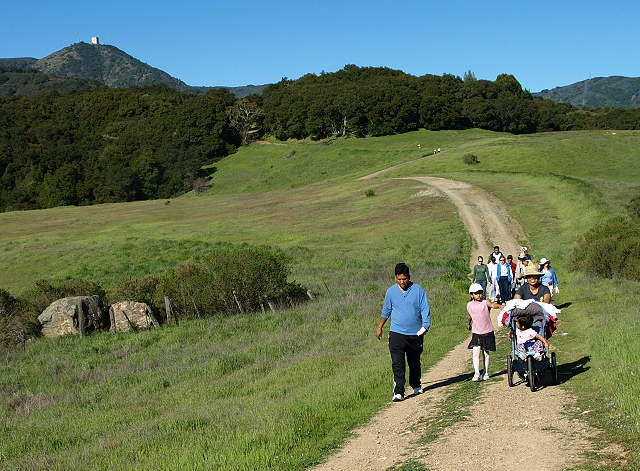 Wood Road Trail