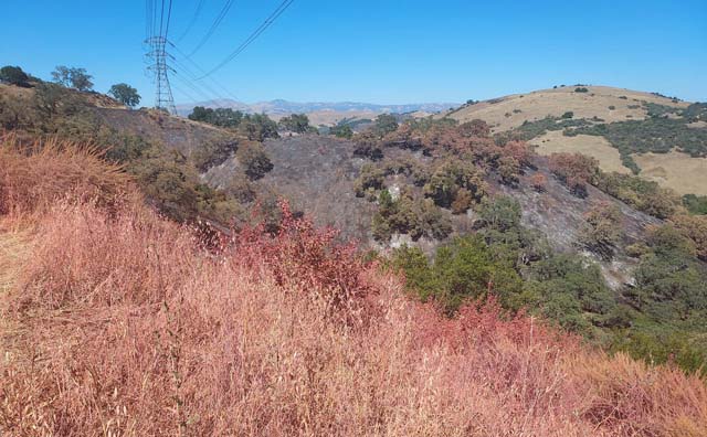 McKean Fire